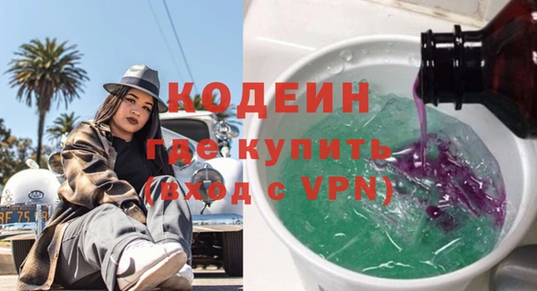 соль ск Новозыбков