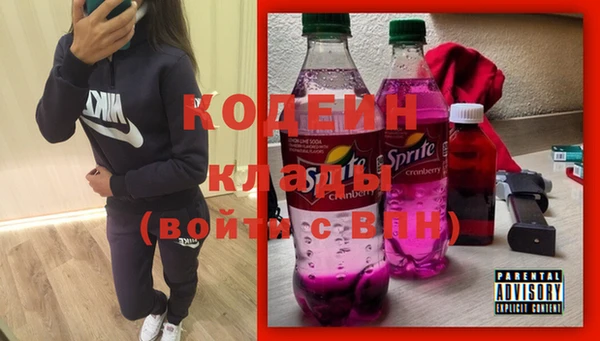 соль ск Новозыбков