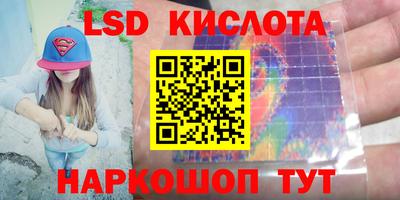 шишки Абакан