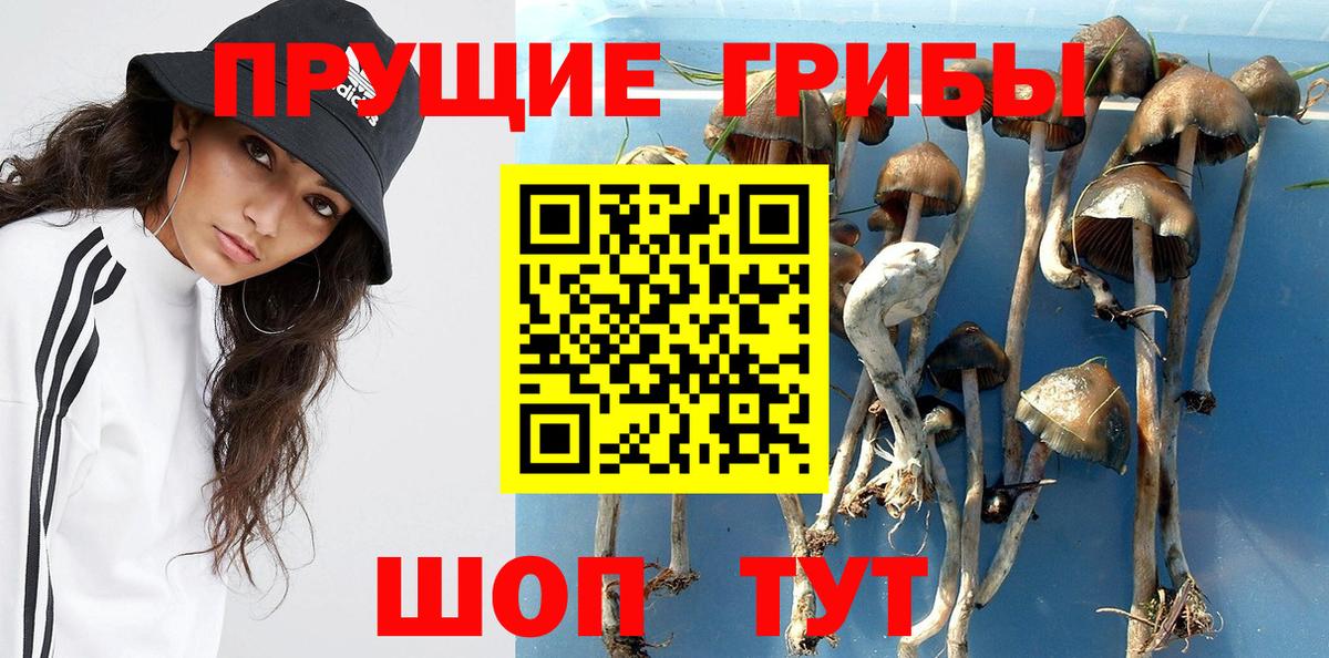 Чебоксары  Псилоцибиновые грибы ЛСД  Вход с VPN 