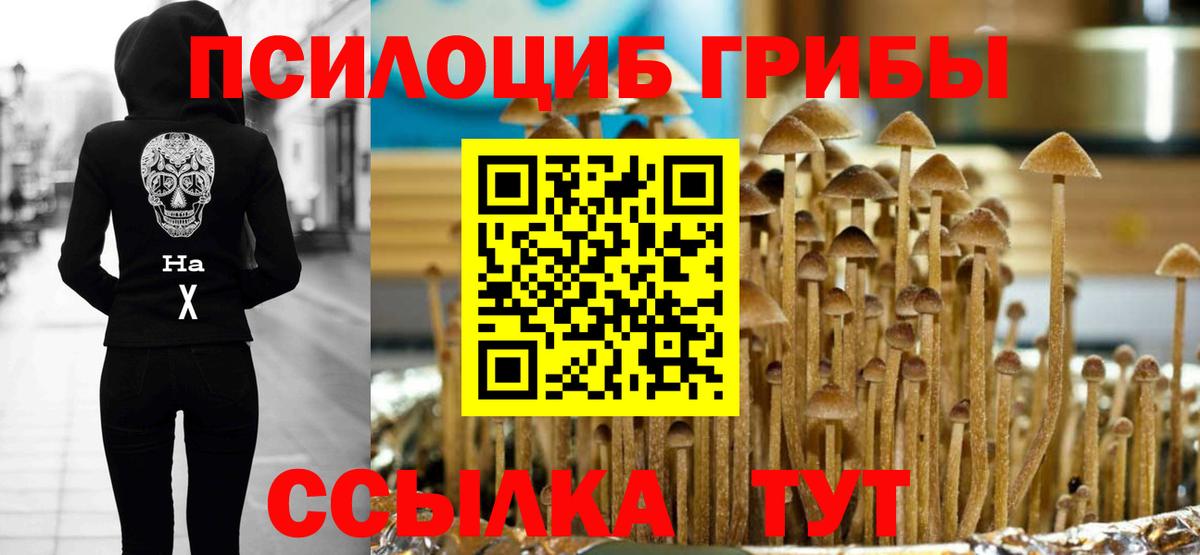 Галлюциногенные грибы мухоморы Чебоксары